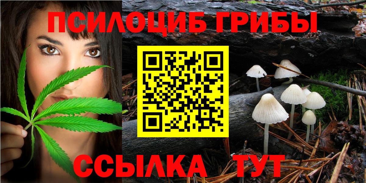 где можно купить наркотик  Вход с VPN  Псилоцибиновые грибы Psilocybine cubensis  Тихорецк  Псилоцибиновые грибы Psilocybe 