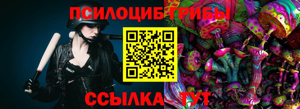 Псилоцибиновые грибы Psilocybine cubensis Тихорецк